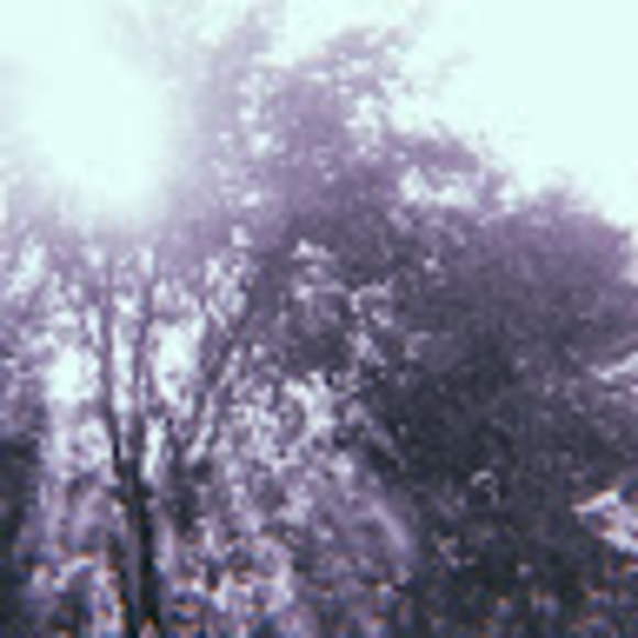 dawnday841